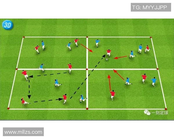 南京足球队球员个人能力分析与表现评估研究