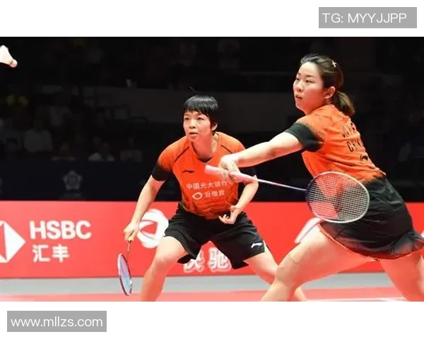 杭州羽毛球队与南京羽毛球队赛后战术分析与复盘探讨 杭州羽毛球队与南京羽毛球队赛后战术分析与复盘探讨